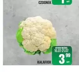 TomiMarkt Kalafior oferta