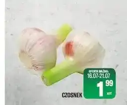 TomiMarkt Czosnek oferta