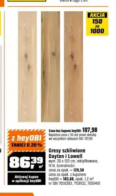 OBI Gres szkliwiony Dayton oferta
