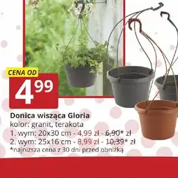 Prymus-AGD Donica wisząca Gloria oferta