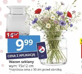 Prymus-AGD Wazon szklany oferta