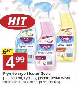 Prymus-AGD Płyn do szyb i luster Gosia oferta