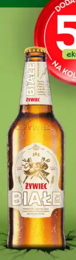 Żabka Białe Żywiec oferta