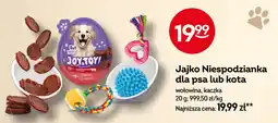 Żabka Jajko Niespodzianka dla psa lub kota oferta