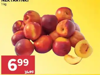Stokrotka Nektarynki oferta