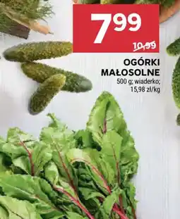 Stokrotka OGÓRKI MAŁOSOLNE oferta