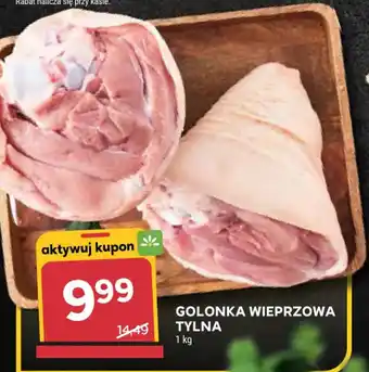 Stokrotka GOLONKA WIEPRZOWA TYLNA oferta