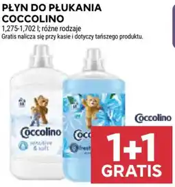 Stokrotka Płyn do płukania Coccolino oferta