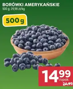 Stokrotka BORÓWKI AMERYKAŃSKIE oferta