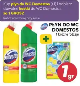 Stokrotka Płyn do WC Domestos oferta