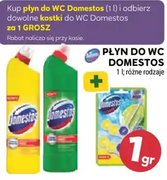 Stokrotka Płyn do WC Domestos oferta