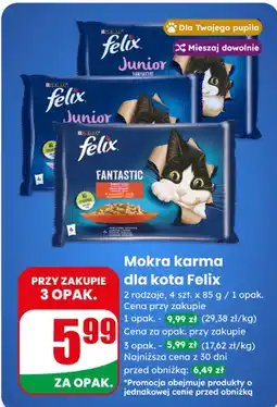 Dino Mokra karma dla kota Felix oferta