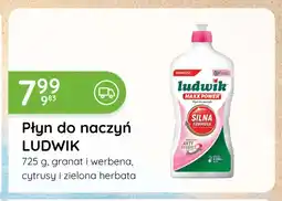 Eurocash Cash & Carry Płyn do naczyń Ludwik oferta