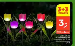Dealz Lampa solarna oferta