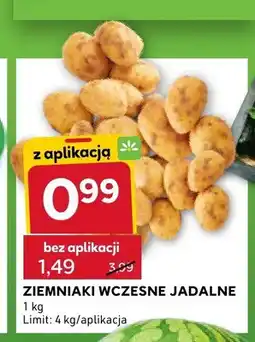 Stokrotka Ziemniaki wczesne jadalne oferta