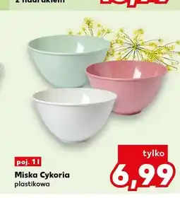 Kaufland Miska plastikowa Cykoria oferta