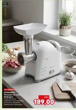 Kaufland Maszynka do mięsa Esperanza Wellington oferta