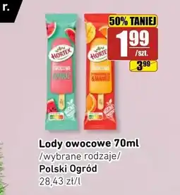 API MARKET Lody owocowe Hortex Arbuz oferta