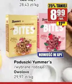 API MARKET Poduszki jabłkowo-cynamonowe Yummer's oferta