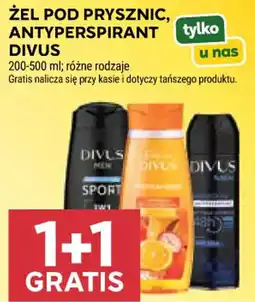 Stokrotka Market Żel pod prysznic, antyperspirant Divus oferta