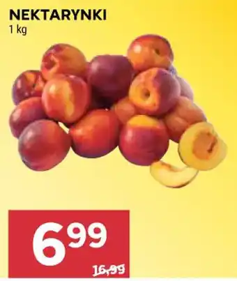 Stokrotka Market Nektarynki oferta
