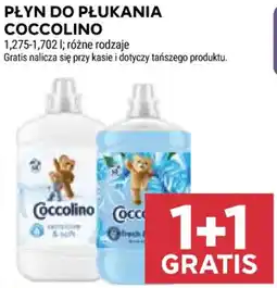 Stokrotka Market Płyn do płukania Coccolino oferta