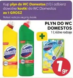 Stokrotka Market Płyn do WC Domestos oferta