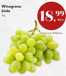 Market Point Winogrono białe oferta