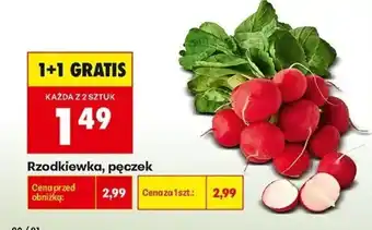 Biedronka Rzodkiewka, pęczek oferta