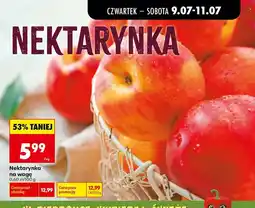Biedronka Nektarynka oferta