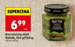 Biedronka Korniszony mini Rolnik oferta