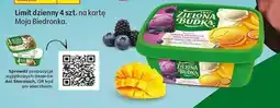 Biedronka Lody Mango Mararała Smakowanych Owoców Lesnych Zielona Budka oferta