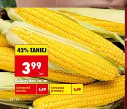Biedronka Kukurydza kolba oferta