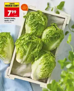 Biedronka Sałata baby 4-pak oferta