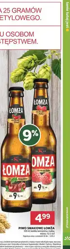 Stokrotka PIWO SMAKOWE ŁOMŻA oferta