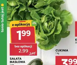 Stokrotka Sałata masłowa oferta