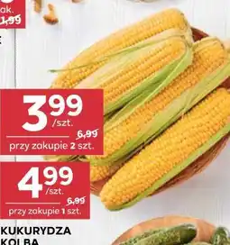 Stokrotka Kukurydza kolba oferta