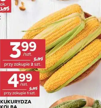 Stokrotka Kukurydza kolba oferta