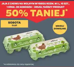 Netto Jaja z chowu na wolnym wybiegu Kokoszki oferta
