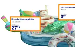 Action Krokodyl dmuchany Intex oferta