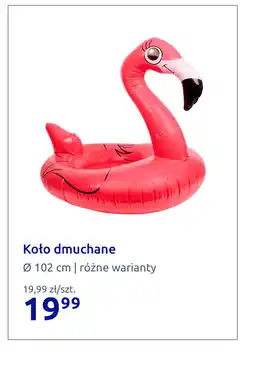 Action Koło dmuchane oferta