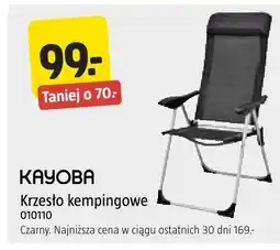 Jula Kayoba Krzesło kempingowe 010110 oferta