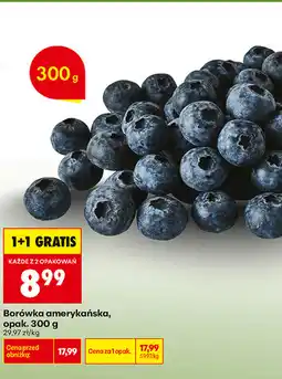 Biedronka Borówka amerykańska, opak oferta