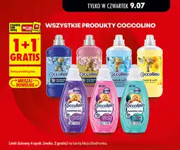 Biedronka Wszystkie produkty Coccolino oferta