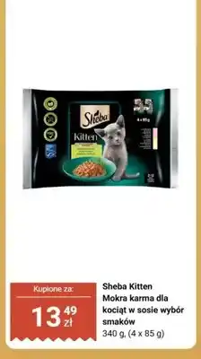 Biedronka Mokra karma dla kociąt w sosie wybór smaków Sheba Kitten oferta