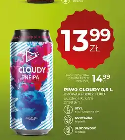 Duży Ben Piwo Cloudy Neipa Browar Funky Fluid oferta