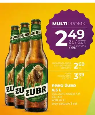 Duży Ben Piwo Żubr oferta