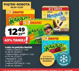 Netto Lody Kaktus oferta