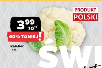 Netto Kalafior Polski oferta
