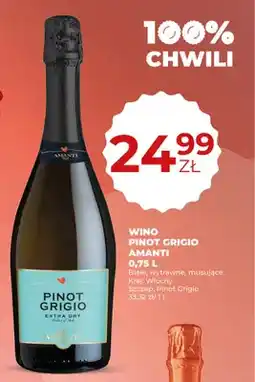 Duży Ben Wino Pinot Grigio Amanti Extra Dry oferta